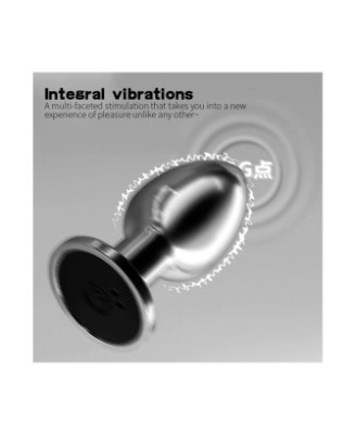 Plug vibrant acier inoxydable anal taille S avec télécommande, USB BOOTY